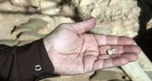 Israel: Ramasite de Homo sapiens de acum 400.000 de ani