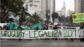 Uruguay legalizează marijuana